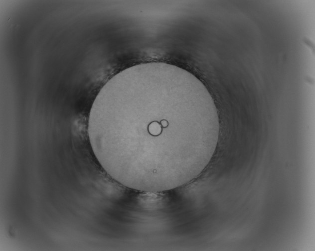 X0000091720672200709211002