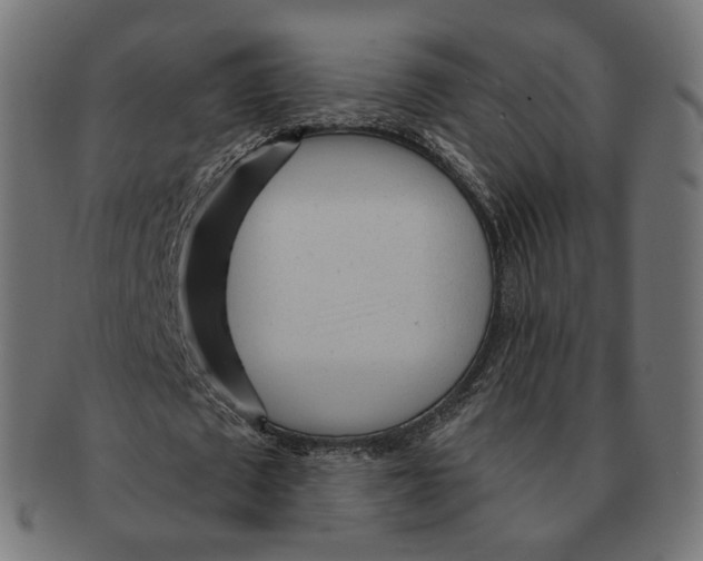 X0000091720673200709211001