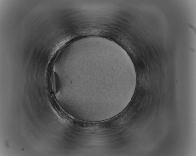 X0000091720674200709211001