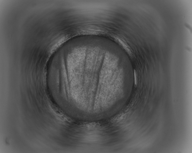 X0000091720675200709211001