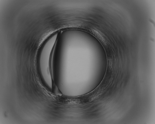 X0000091720676200709211001