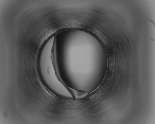 X0000091720677200709211001