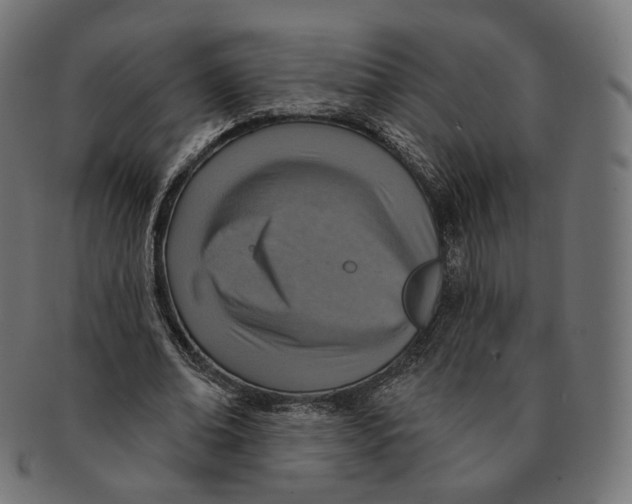 X0000091720678200709211001