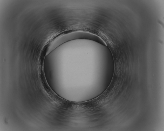 X0000091720680200709211001