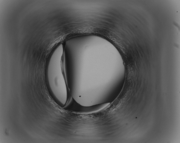 X0000091720681200709211001