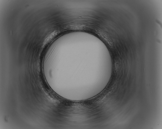 X0000091720682200709211001