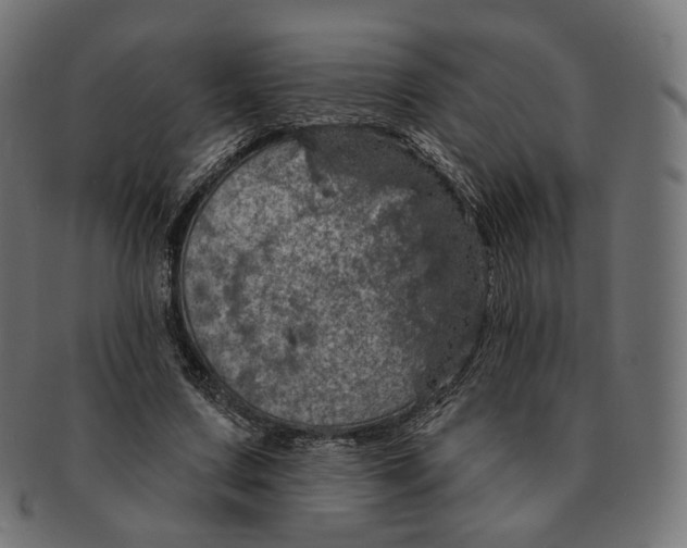 X0000091720683200709211001