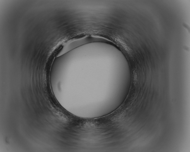 X0000091720684200709211001