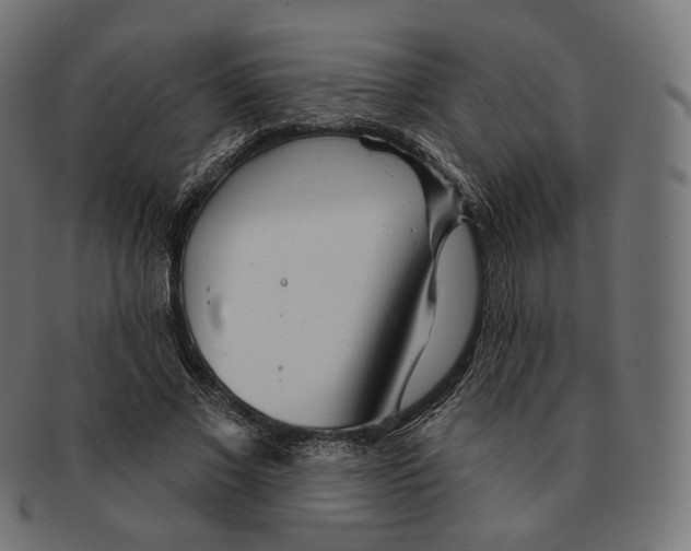 X0000091720685200709211001