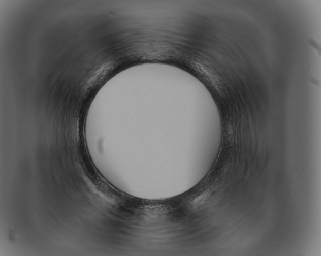 X0000091720686200709211001