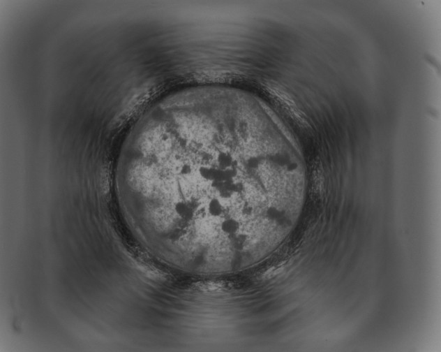 X0000091720687200709211001