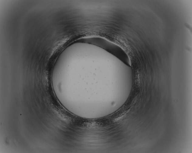 X0000091720688200709211001