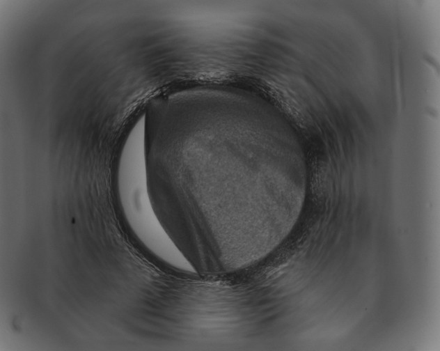 X0000091720689200709211001