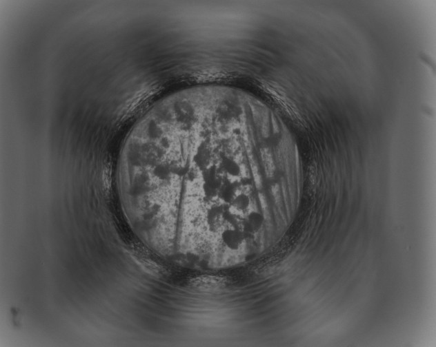 X0000091720691200709211001