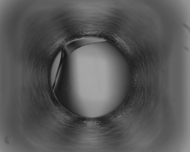 X0000091720693200709211001