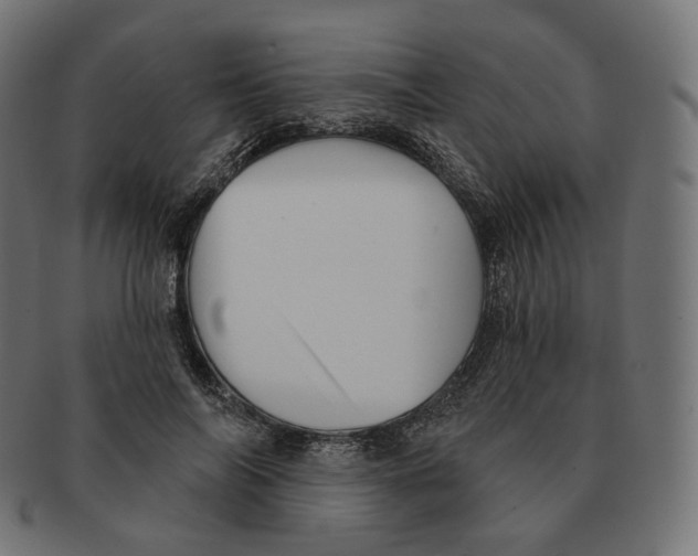 X0000091720694200709211001