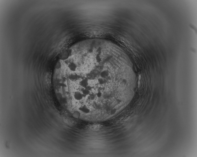 X0000091720695200709211001