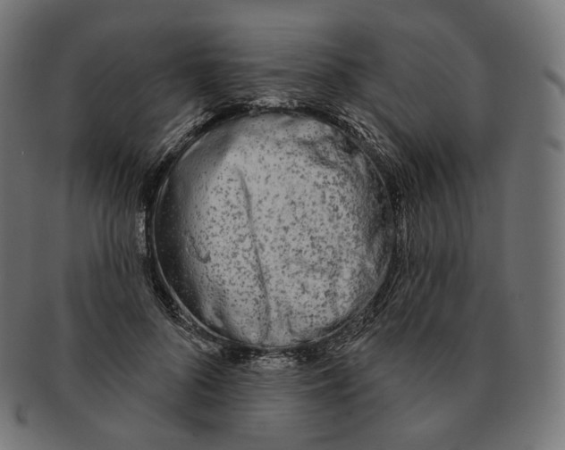 X0000091720696200709211001