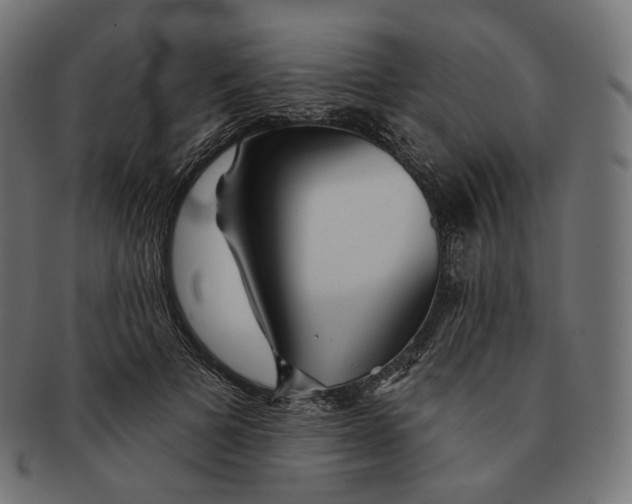 X0000091720697200709211001