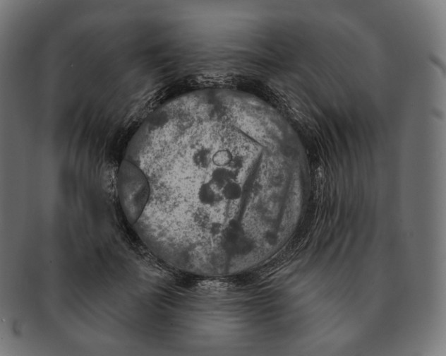 X0000091720699200709211001