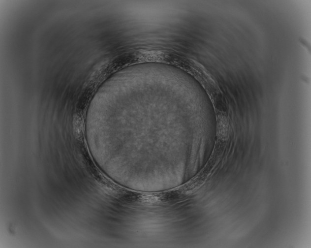 X0000091720701200709211001