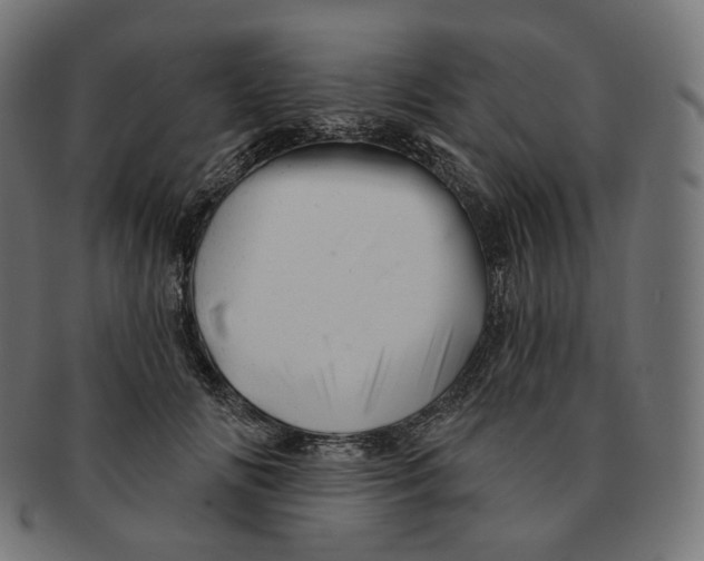 X0000091720702200709211001