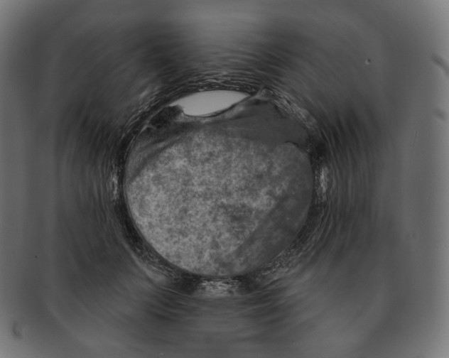 X0000091720703200709211001