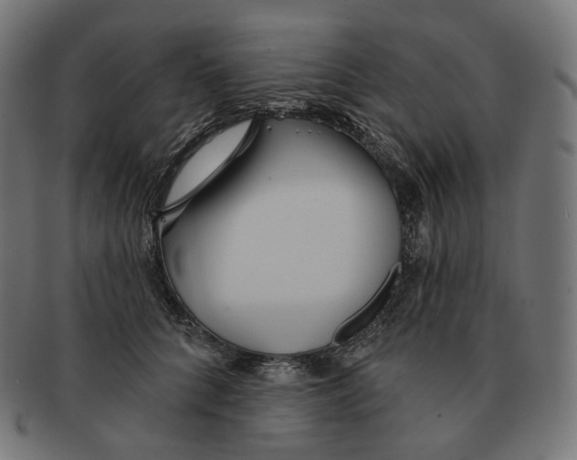 X0000091720704200709211001