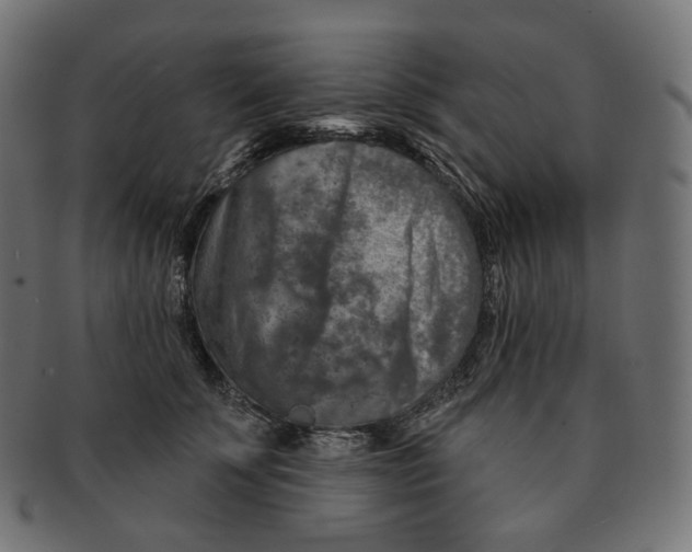 X0000091720707200709211001