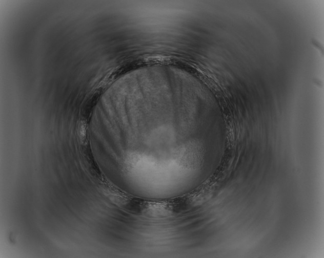 X0000091720709200709211001