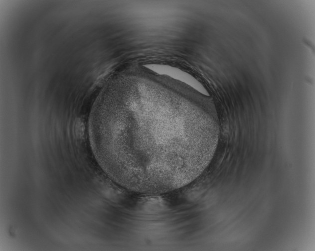 X0000091720715200709211001