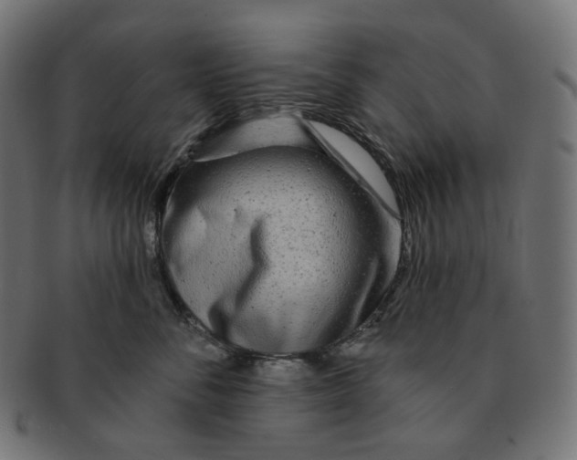 X0000091720716200709211001