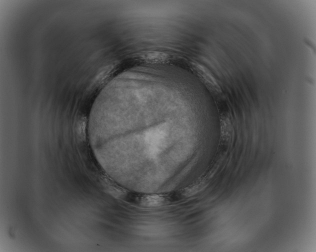 X0000091720717200709211001