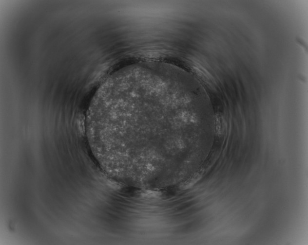 X0000091720718200709211001