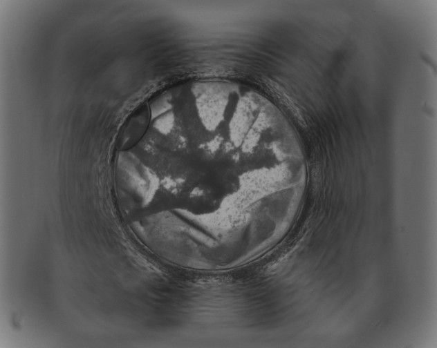 X0000091720721200709211000