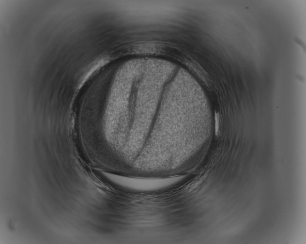 X0000091720723200709211000