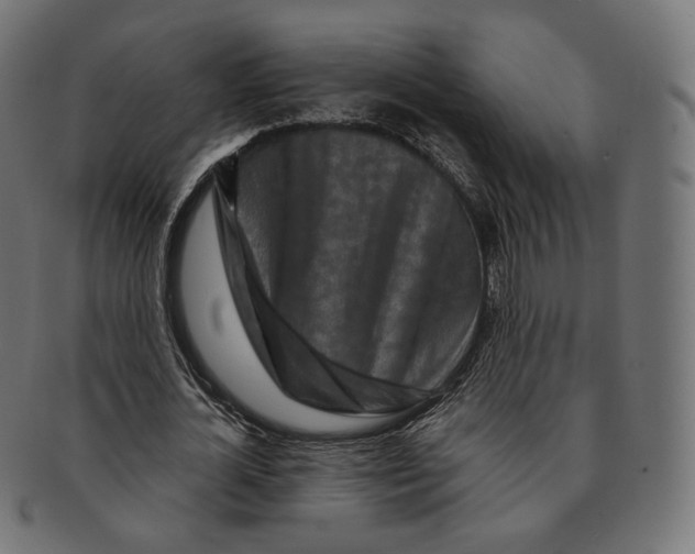 X0000091720724200709211000