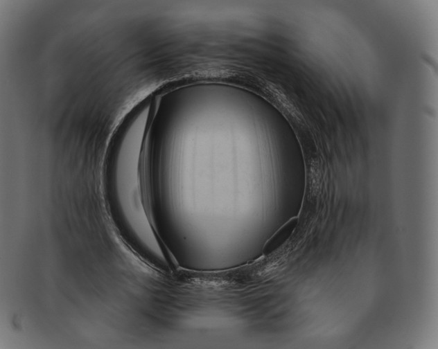 X0000091720726200709211000