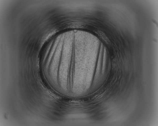 X0000091720727200709211000