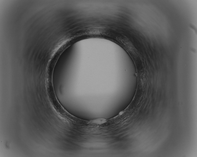 X0000091720728200709211000