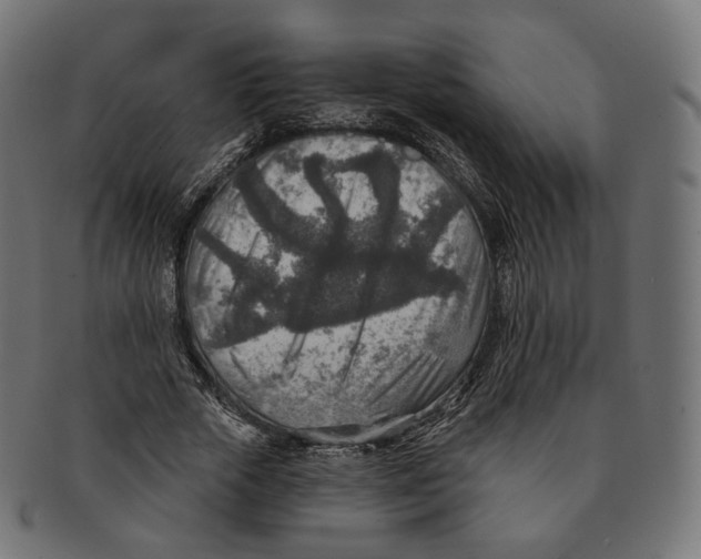 X0000091720729200709211000