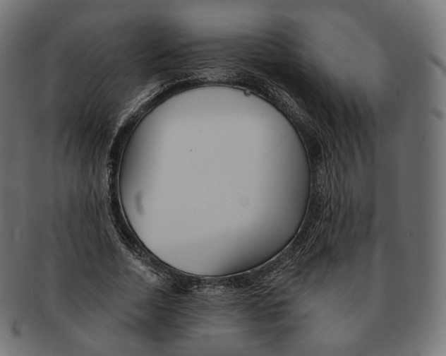 X0000091720730200709211000