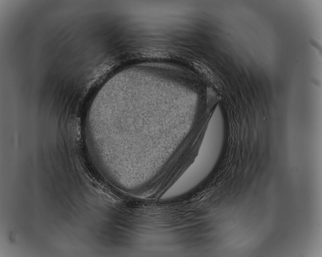 X0000091720731200709211000