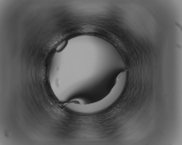 X0000091720732200709211000