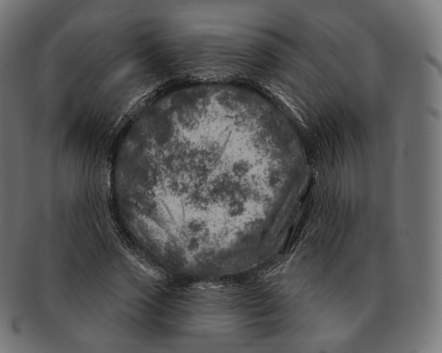 X0000091720733200709211000