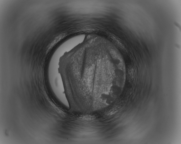 X0000091720734200709211000