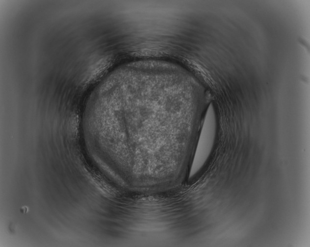 X0000091720735200709211000