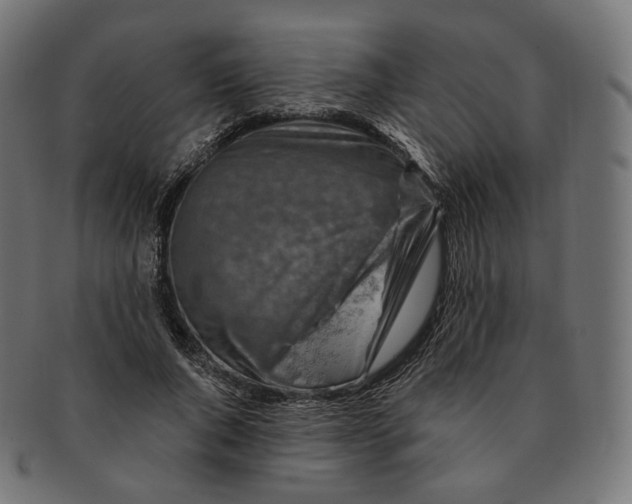 X0000091720736200709211000