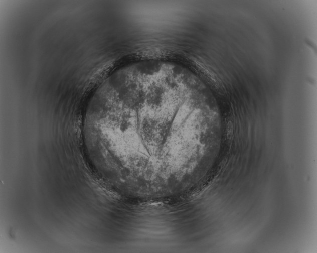 X0000091720737200709211000