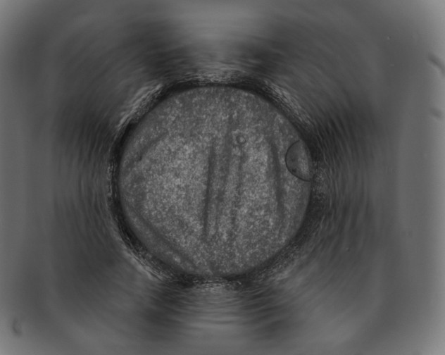 X0000091720738200709211000